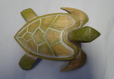 Green Wood Turtle